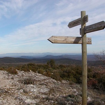 Sign post for Chihuahuapocalypse