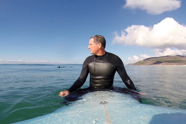 Surfing with Dolphins