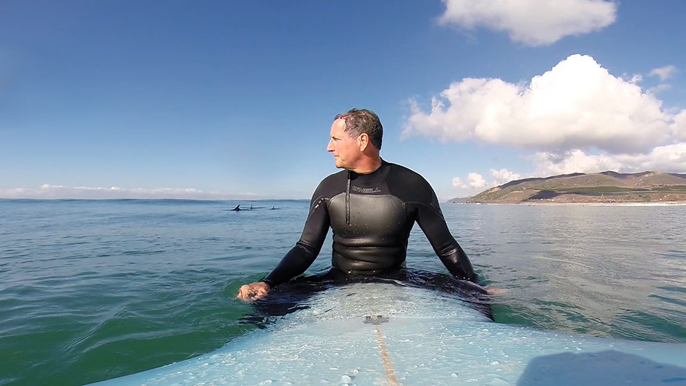 Surfing with Dolphins