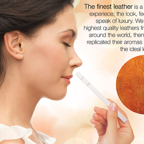 Andrea Aromatics featured image