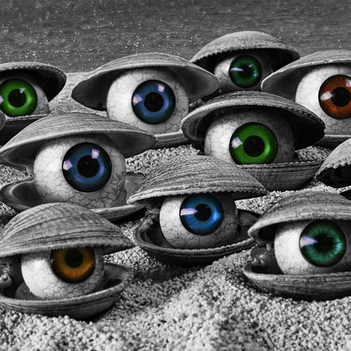 Bienvenidos Featured