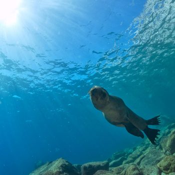 The Mystery of the Missing Heiress image used for the sun seen through the water's surface.